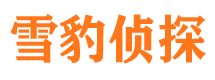 尼玛市侦探调查公司